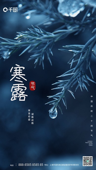 寒露摄影图简约清新传统节气宣传手机海报