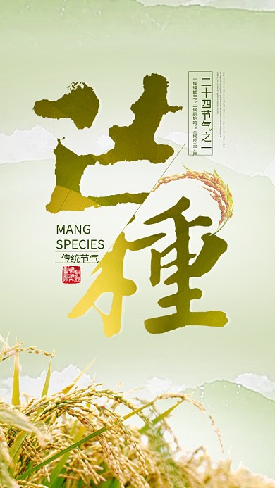 浅绿色芒种手机海报