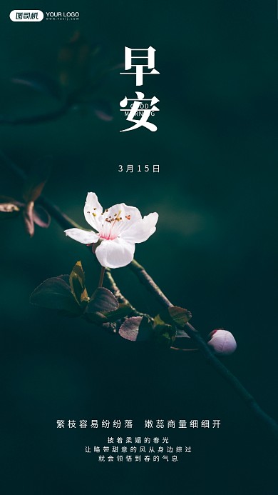 春天盛开的花朵摄影手机海报