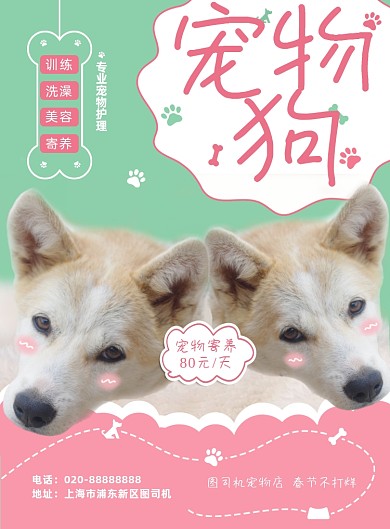 宠物狗春节寄养宠物店写实印刷海报