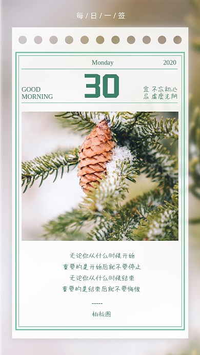 松树摄影图小雪清新名言日签手机海报