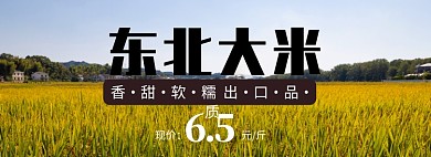 东北大米淘宝banner