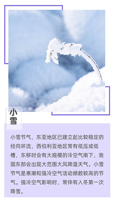 紫色简约小雪文章配图