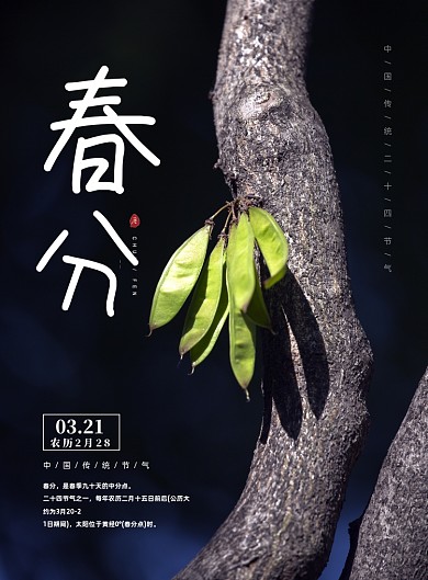 春分节气印刷海报