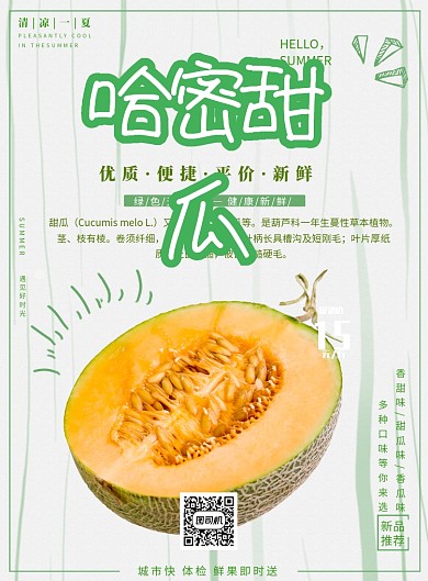 哈密瓜促销海报