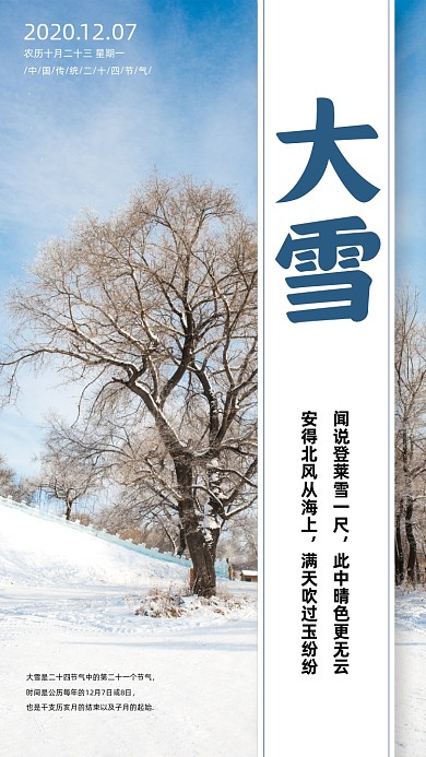 大雪二十四节气简约手机海报