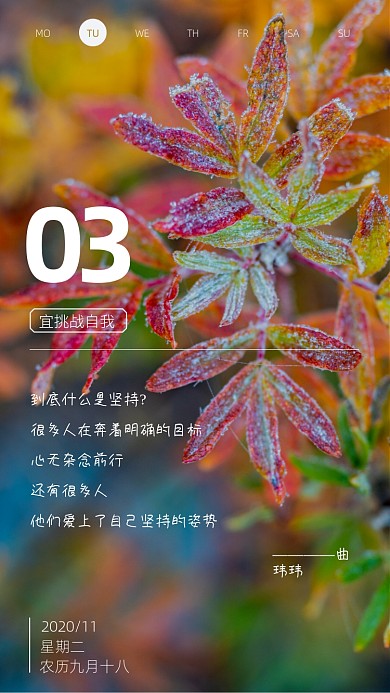 枫叶霜花摄影日签手机海报