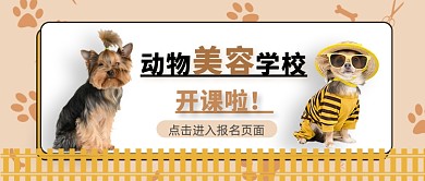 简约卡通宠物健康知识公众号首图