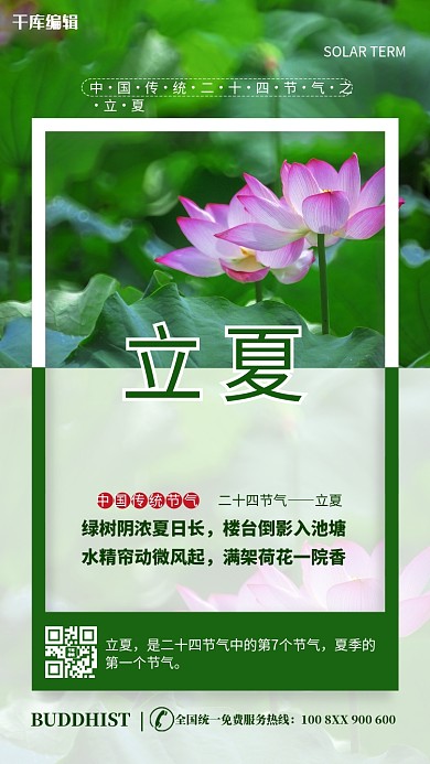 立夏荷花绿色简约海报