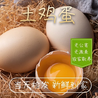 鸡蛋食品农副产品直通车模板