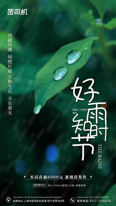 雨水节气大气简约手机海报