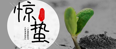 简约绿色惊蛰节气公众号首图