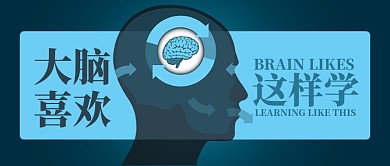 蓝色教育培训大脑喜欢这样学首图