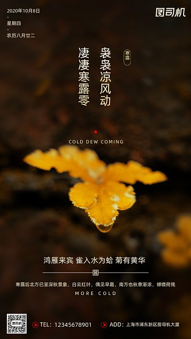 寒露节气摄影图文艺清新枯叶手机海报