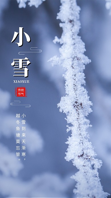 唯美清新简约小雪传统节气手机海报模板