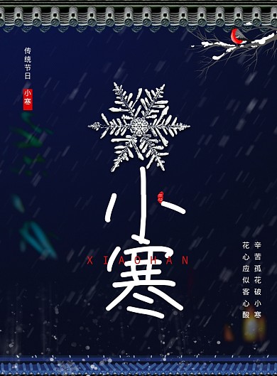 冬季小寒节气海报