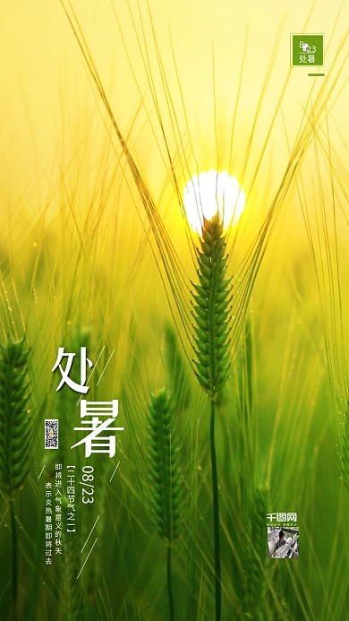 小清新处暑二十四节气宣传海报