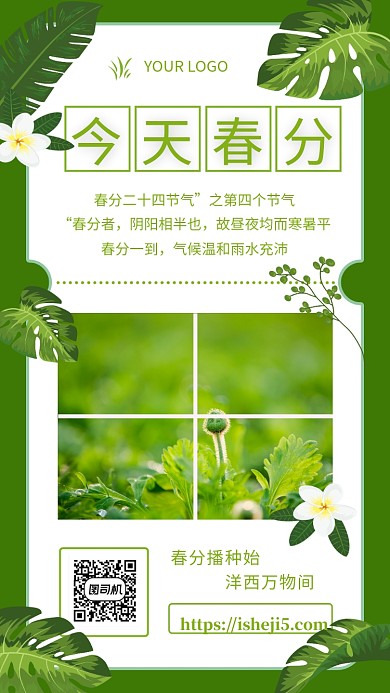 简约绿色小清新春分节气手机海报