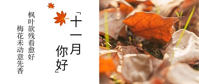 十一月份月签公众号首图