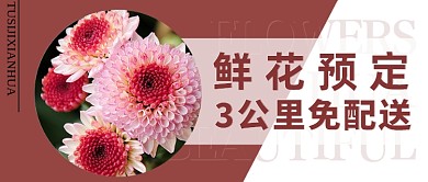 粉色小清新鲜花配送公众号封面