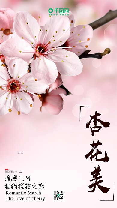 赏杏花杏花季杏花之恋唯美手机配图