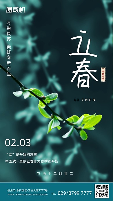传统节气立春深色大气手机海报