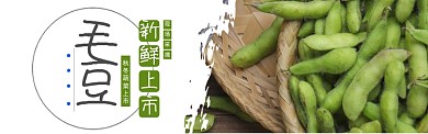 绿色秋冬蔬菜毛豆上市促销banner