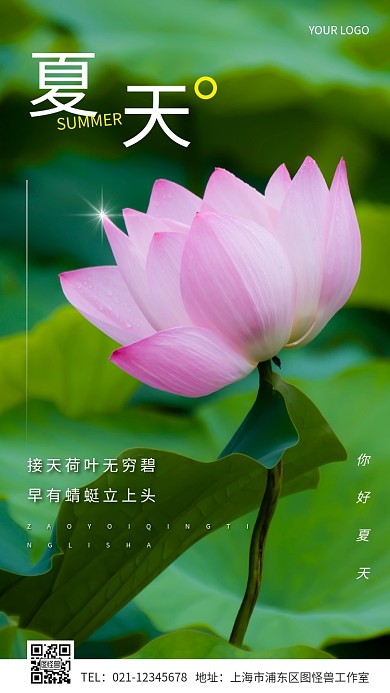 夏天你好封面简约摄影图手机海报