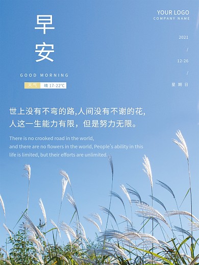 清新蓝天芦苇摄影图早安海报正能量日签