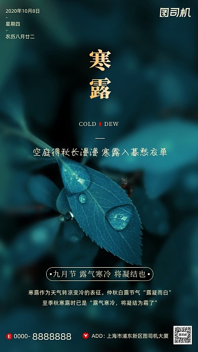寒露节气摄影图清新简约手机海报