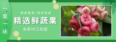 精选美味鲜蔬果水果蔬菜banner
