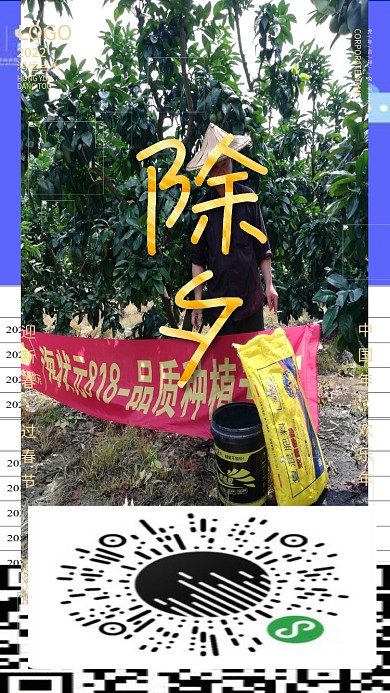 2022虎年新年过年新春春节除夕海报背景