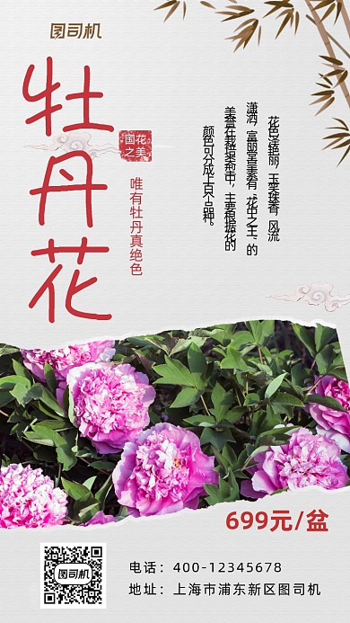 牡丹花中国风摄影图手机海报