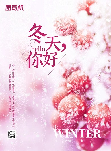 冬天唯美梦幻雪景冬季果子你好海报