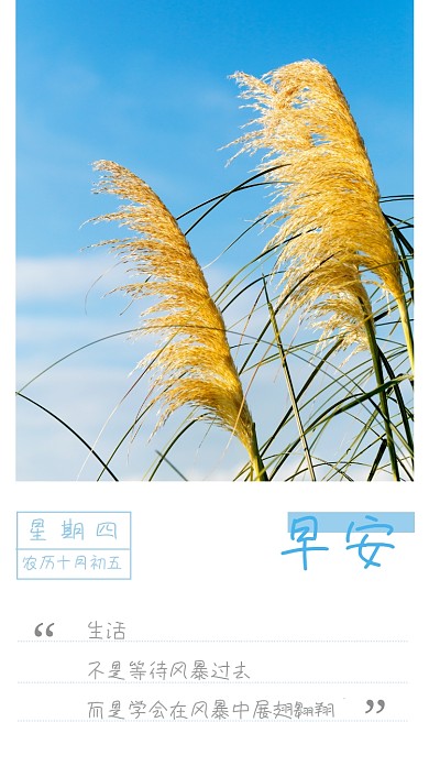 日签心情日记手机海报