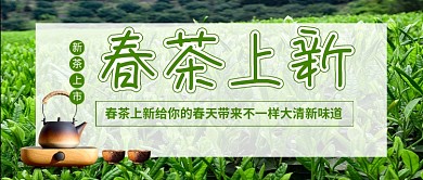春茶上新促销茶叶新媒体配图
