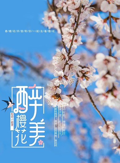 醉美樱花节宣传海报