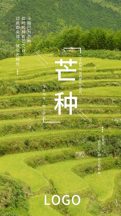 芒种稻田手机海报