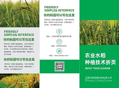 绿色农业水稻种植技术宣传三折页模板