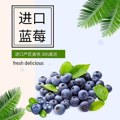 浅色简约风水果进口蓝莓电商主图