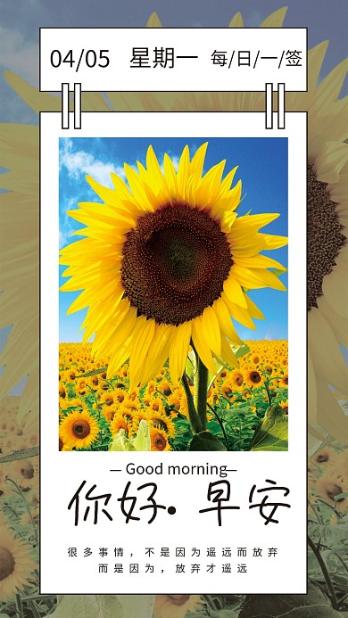 安你好心语心情日签手机壁纸海报