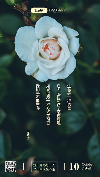 十月你好日签月签清新摄影图手机海报