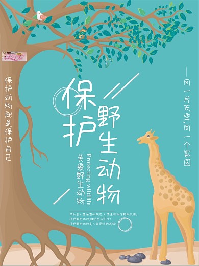 摄影图保护野生动物公益海报
