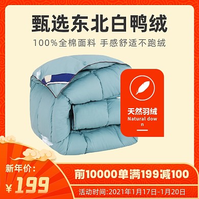 年货节羽绒被被子冬被主图直通车