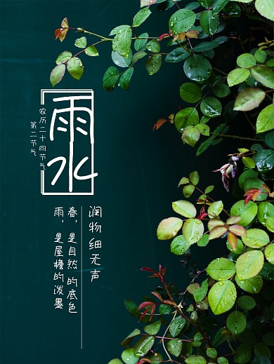 海报二十四节气雨水海报