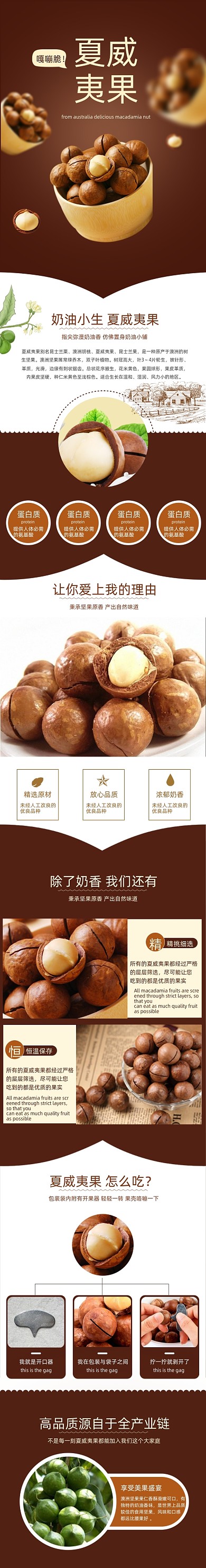 美味零食夏威夷果坚果详情页