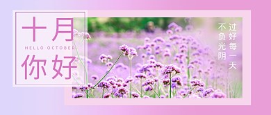 十月你好紫色小清新公众号首图