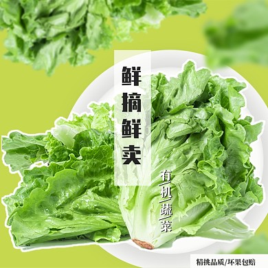 有机生鲜果蔬蔬菜生菜直通车主图