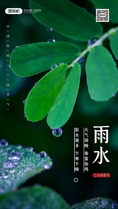 二十四节气雨水绿色摄影图手机海报