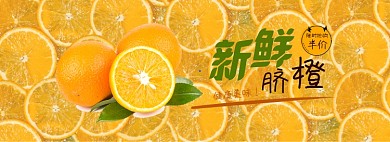 冬季脐橙促销全屏海报